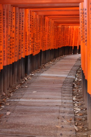 Fushimi-inari Taisha Shrine 8