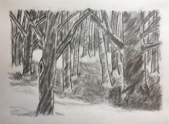 The Forest, graphite