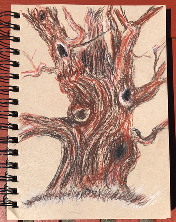 screaming tree:  sepia, sanguine, charcoal, chalk